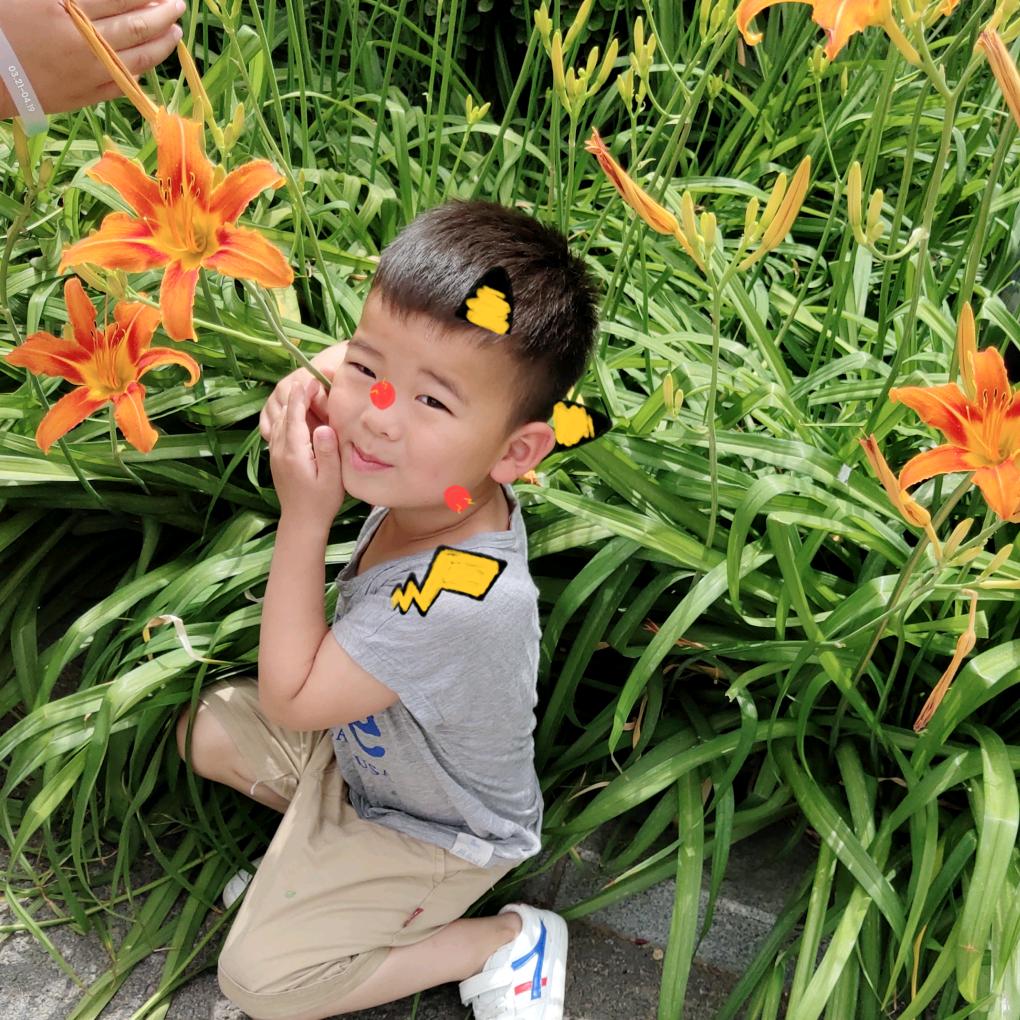 乌密草植物染发头疗馆(古庄头村店)