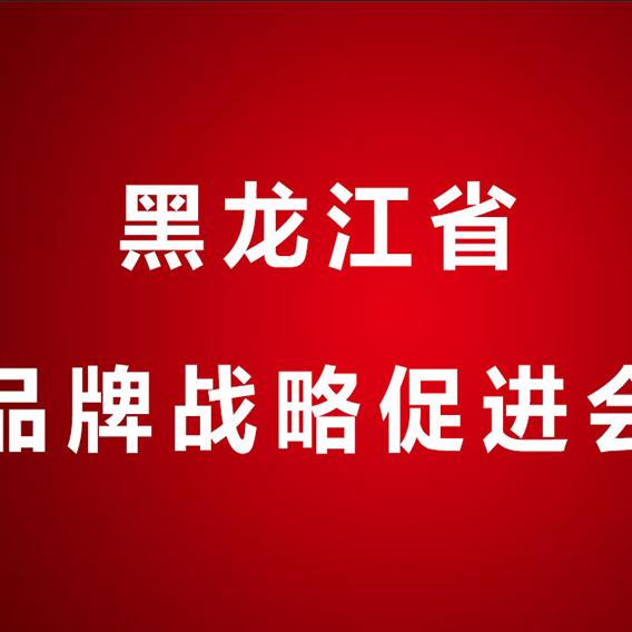 黑龙江省品牌战略促进会
