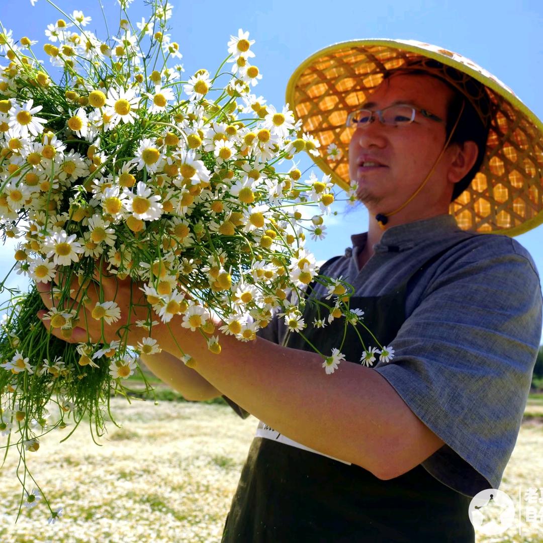 夏老师植物学堂