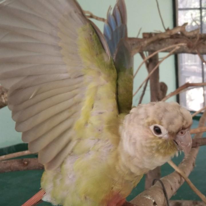 陆伍