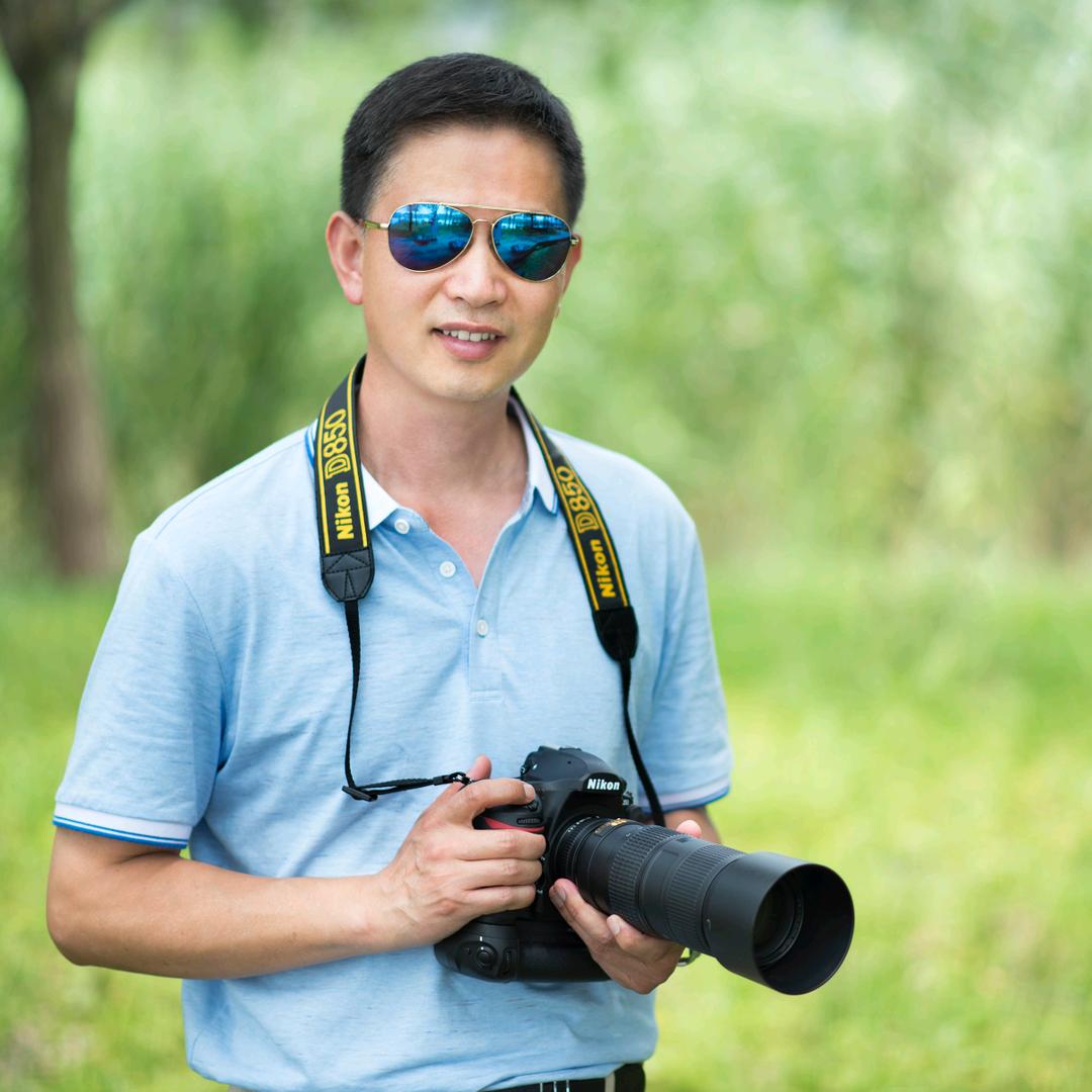 龙龙