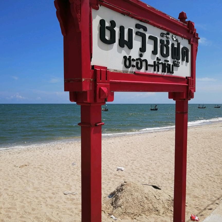 张泽华