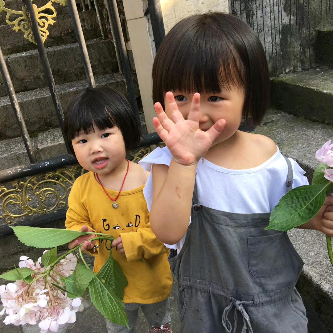 提拉米苏