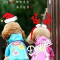 /:love小星星