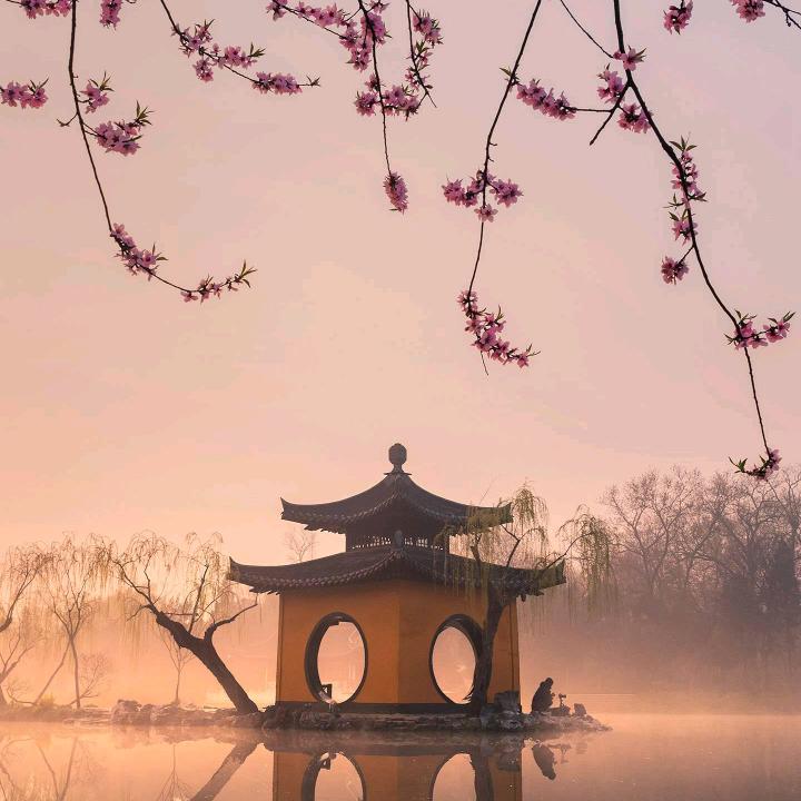 随心所欲