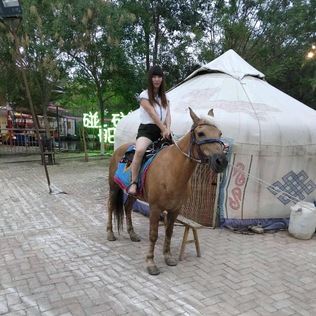 .茈钕孒ゞ莈吢莈肺