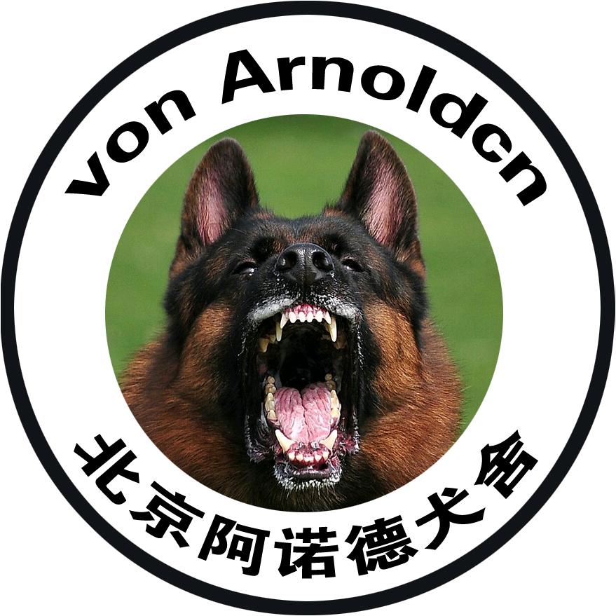 北京阿诺德犬舍 德国牧羊犬