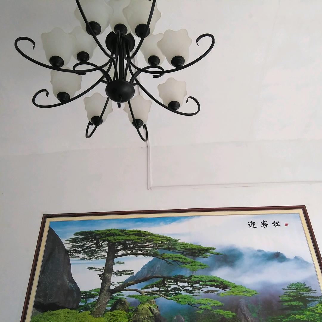 运喜