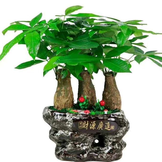清风