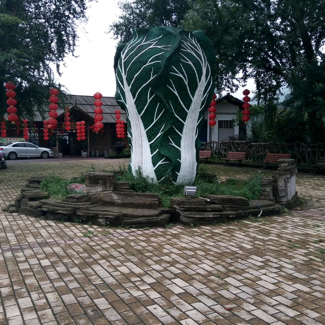 开开心心美一天