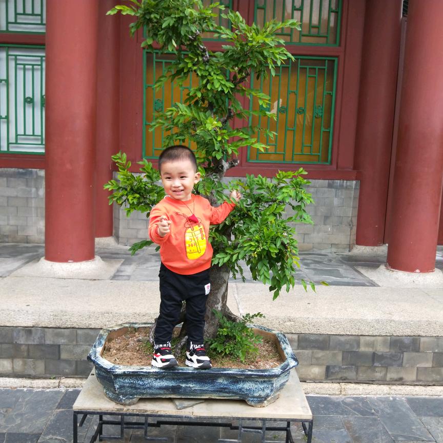 石岭镇园中品早餐店