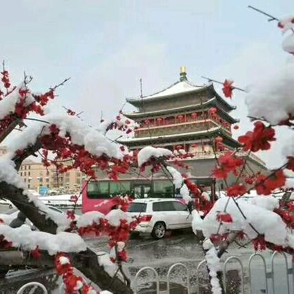 一笑而过zhao