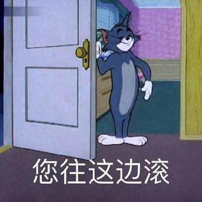 橘子味的猫［霖墨阁]