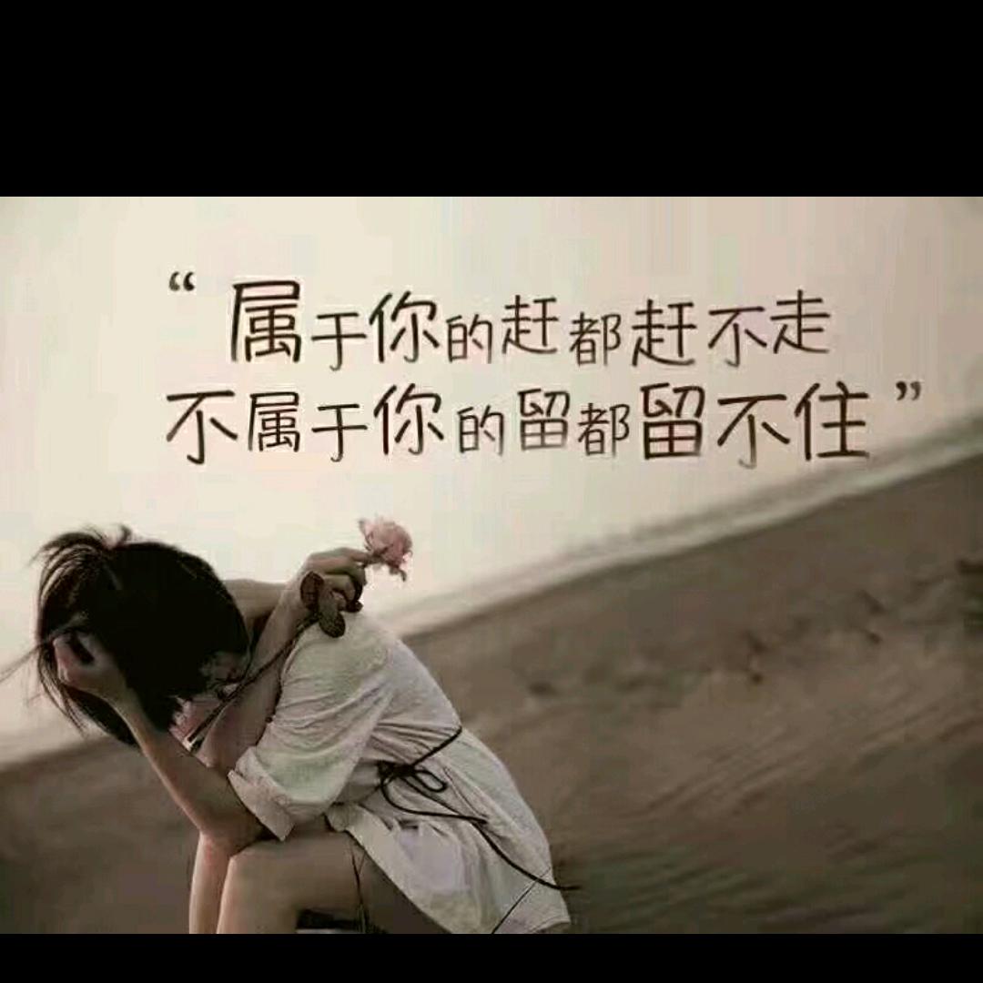 疯子与傻子，(顾总菜)华山论剑