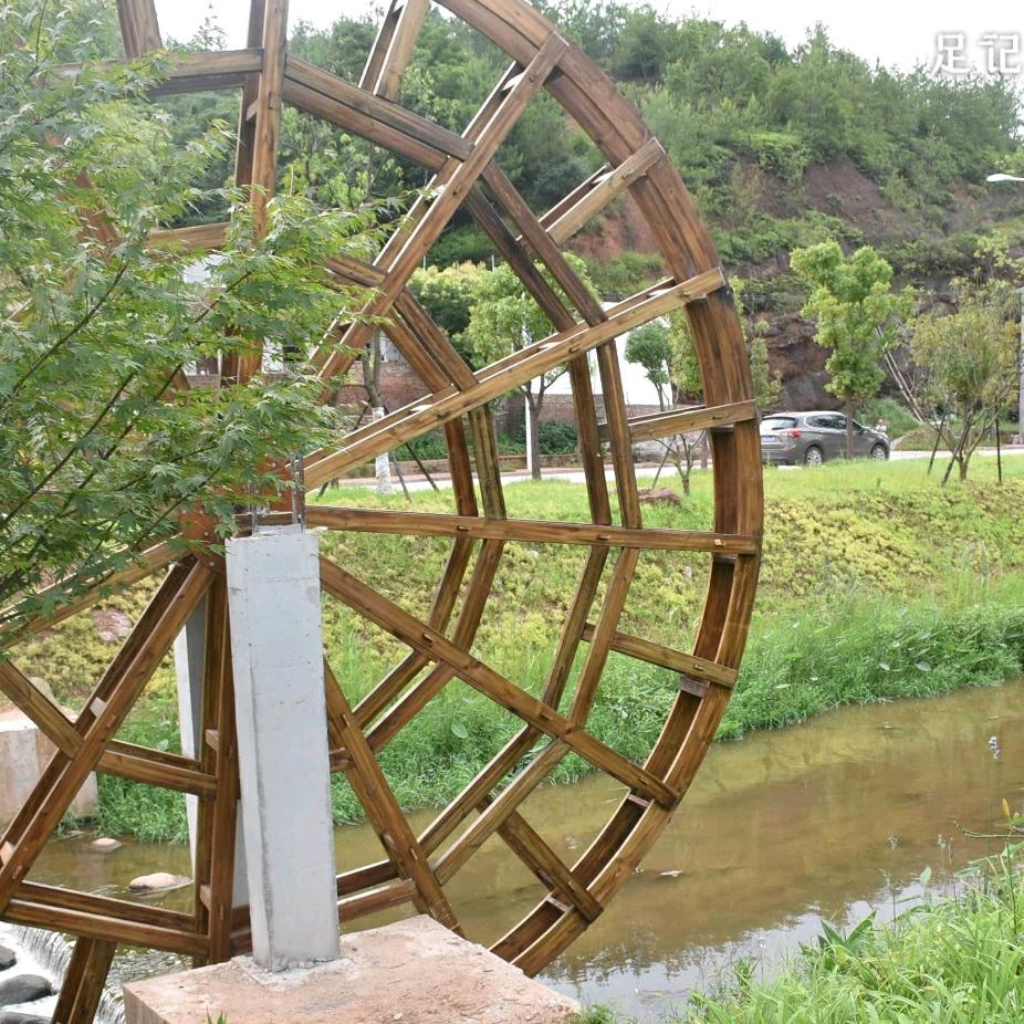 半饱人生