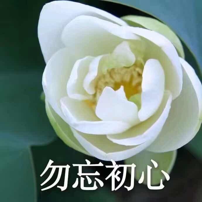 小珊