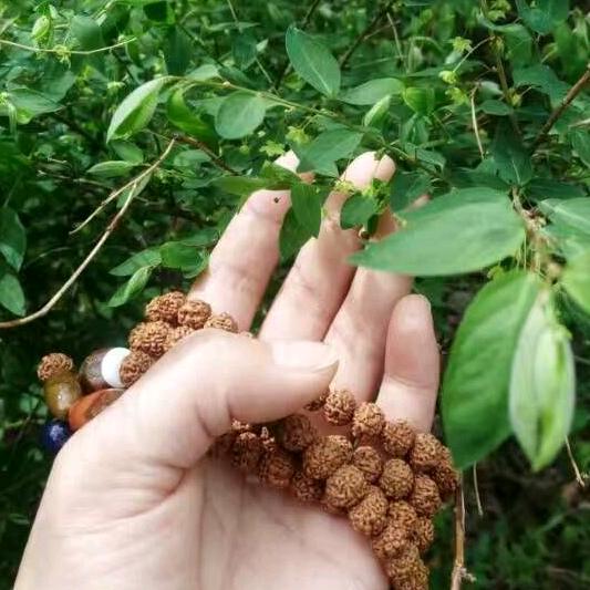 小玥玥Baby 🎀（好物在橱窗）