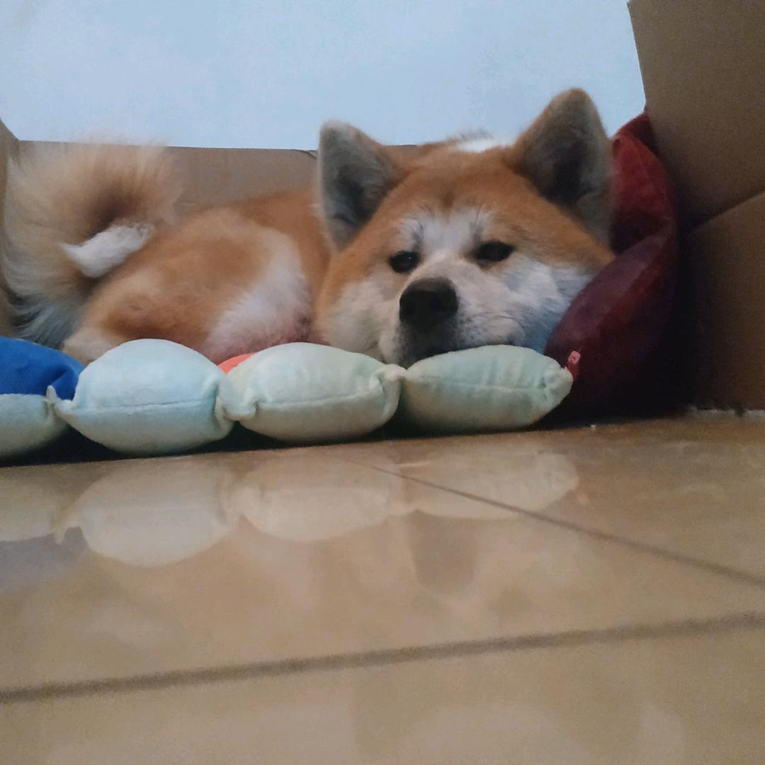 钱川