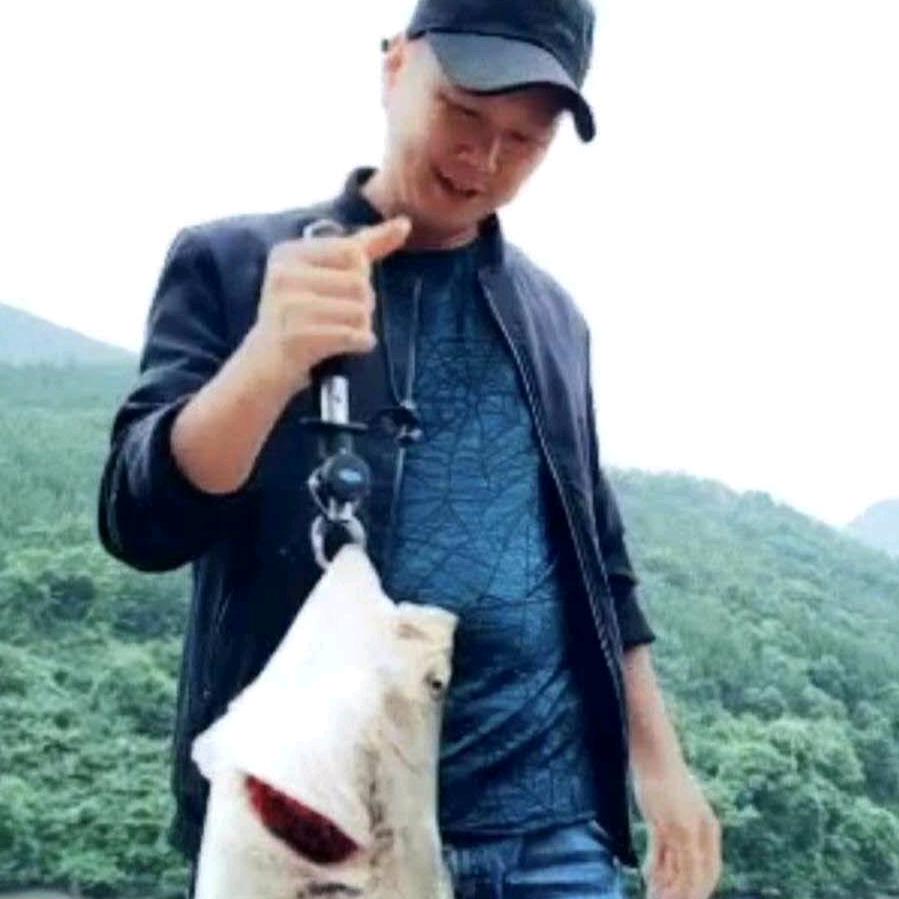 猫弟
