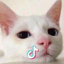 这个老阴有点六