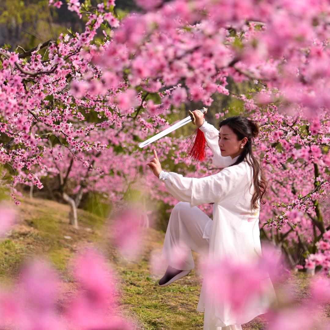 素心如简{傅媛｝