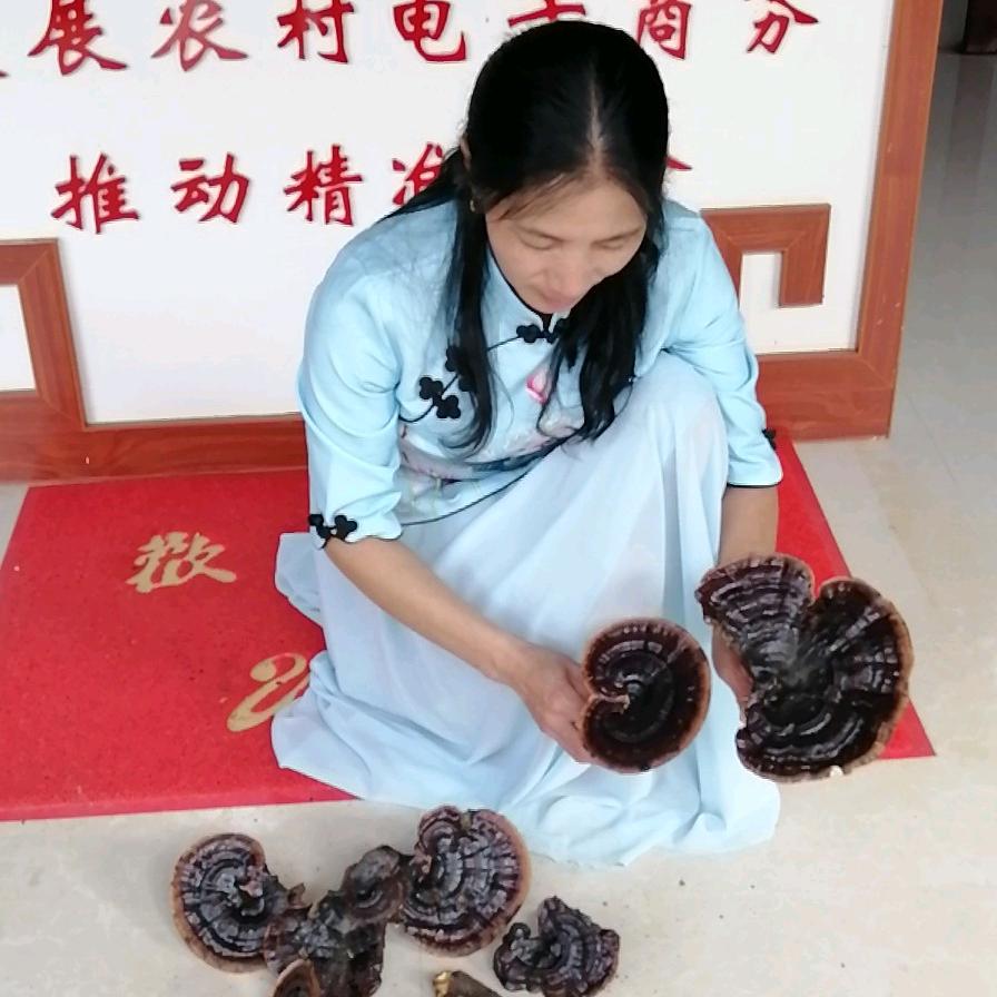 吕志梅聂都山珍.电商中心.益农社