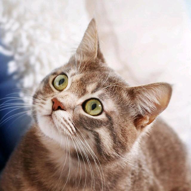 郭大侠（水电开槽-砸墙拆除，挖地沟。