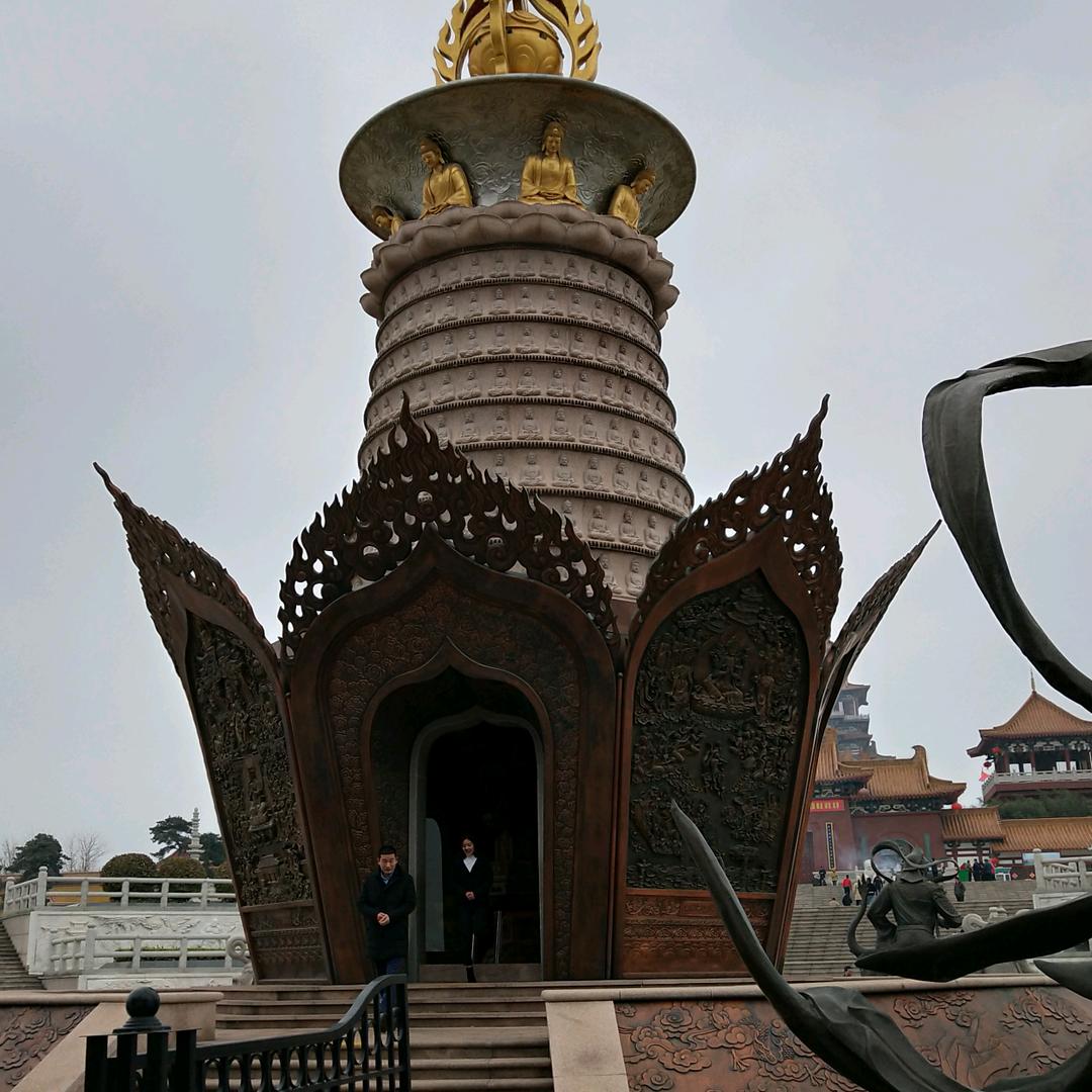 小马先生