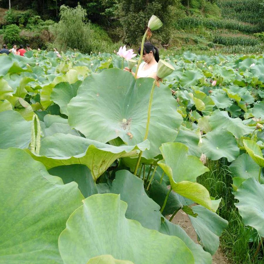 小年