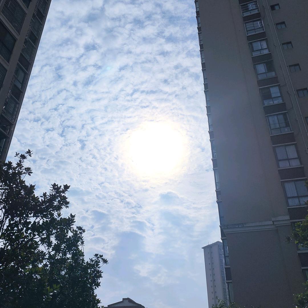 小馨儿