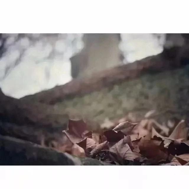 小王小