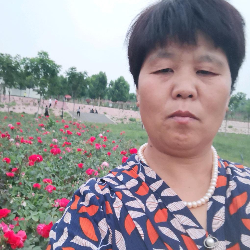 张顺云