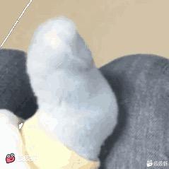 秋风起