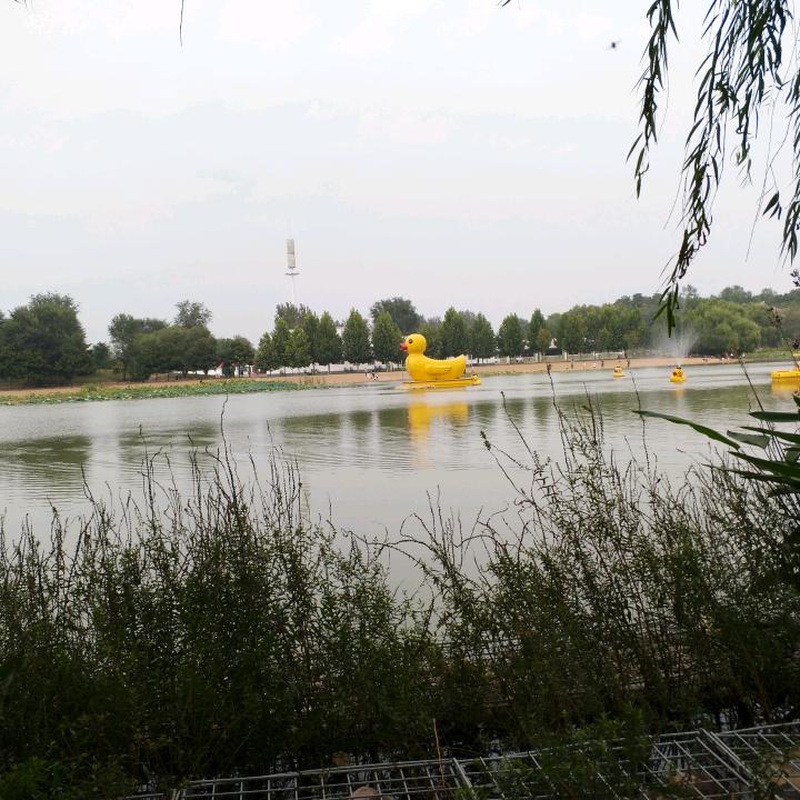 一闪而过