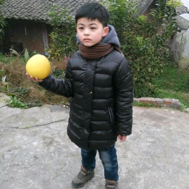 왕문보文博大帝