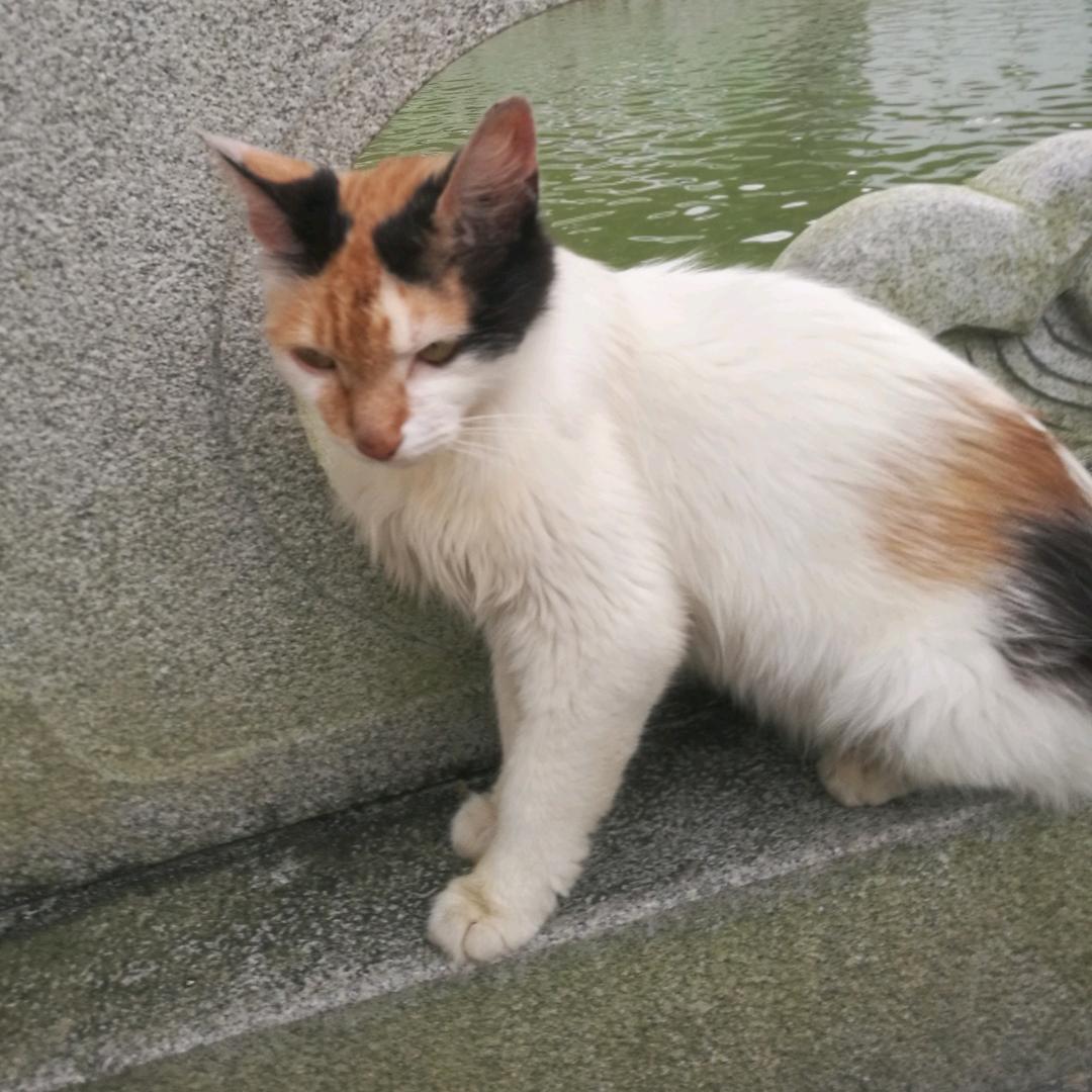 舍⇔得