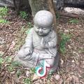 红鲤鱼绿鲤鱼犟驴