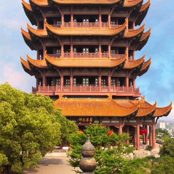 光头