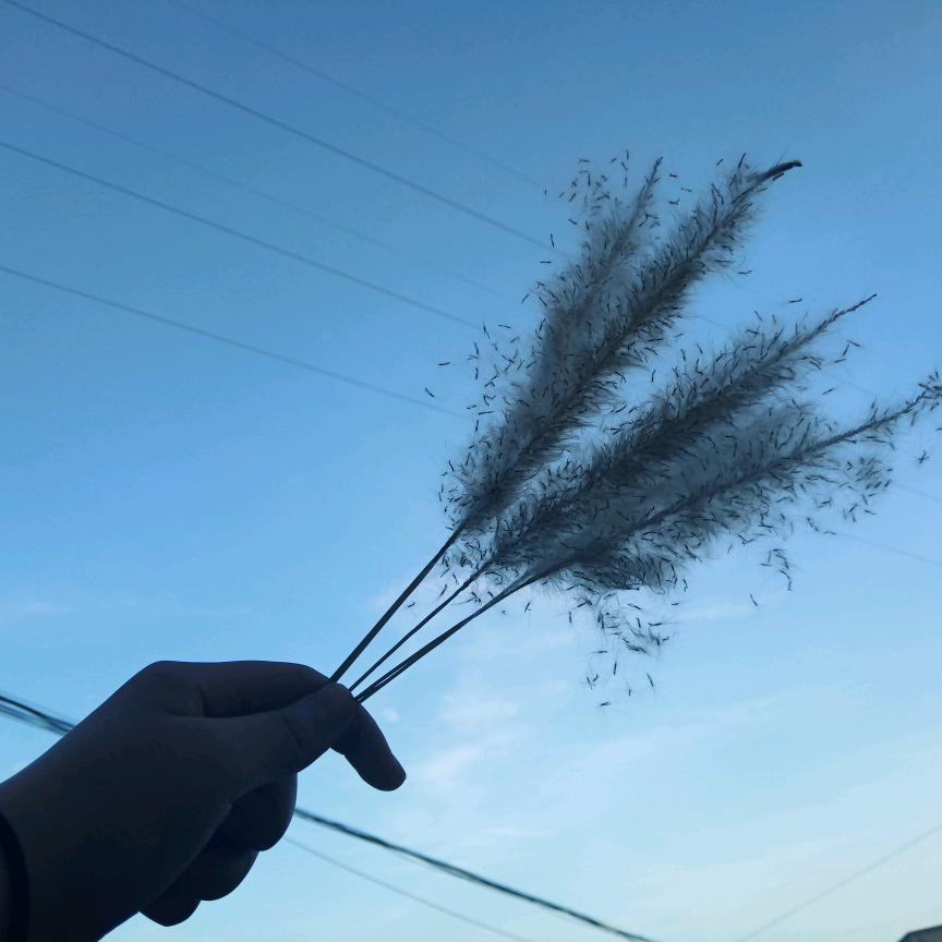 幺妹杂货铺进橱窗有好物