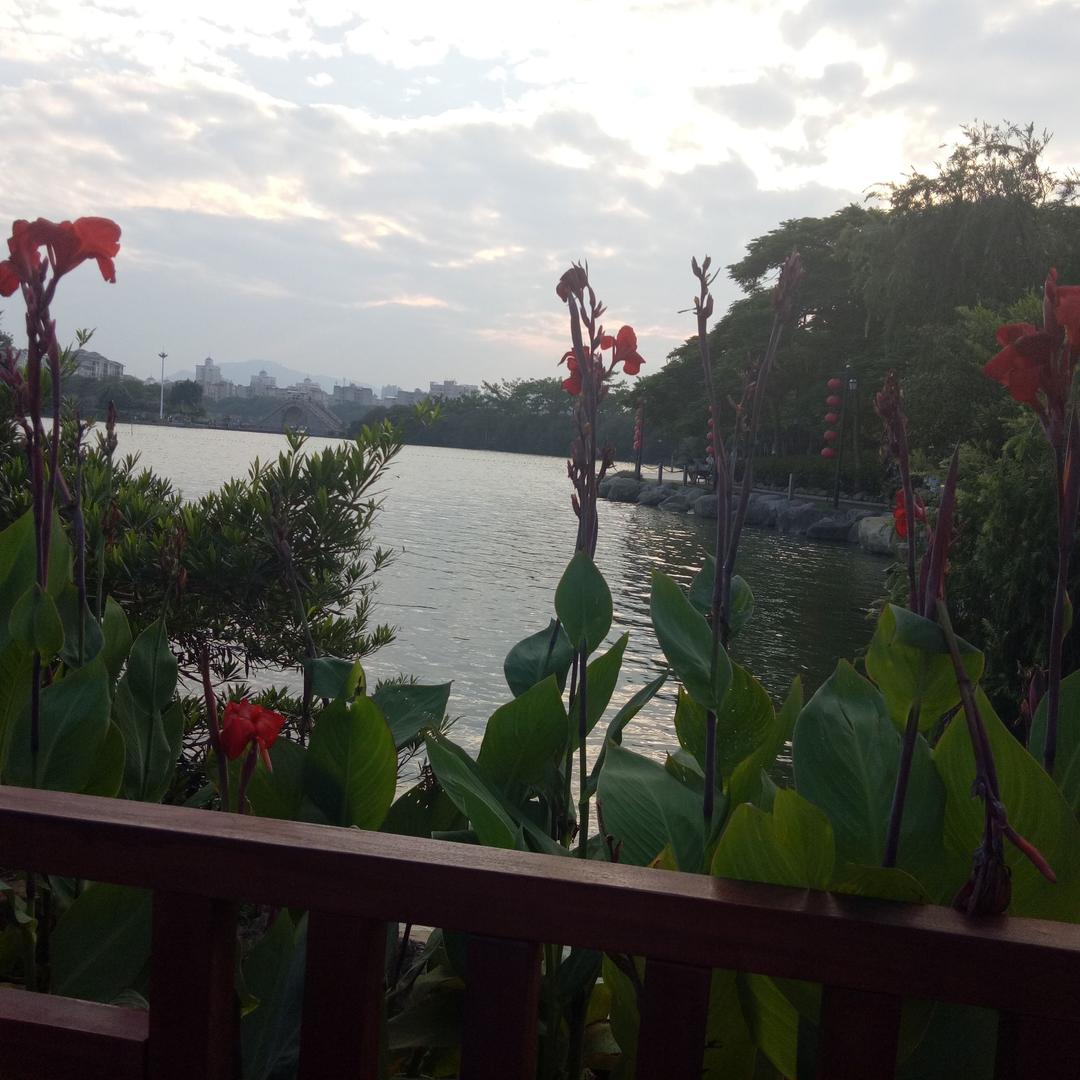 假装不在乎