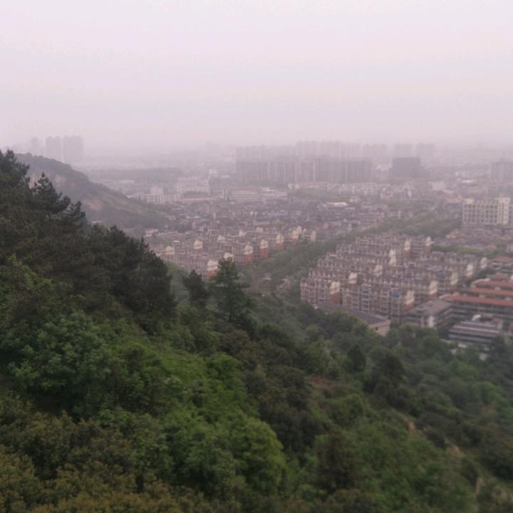 @李蓉@
