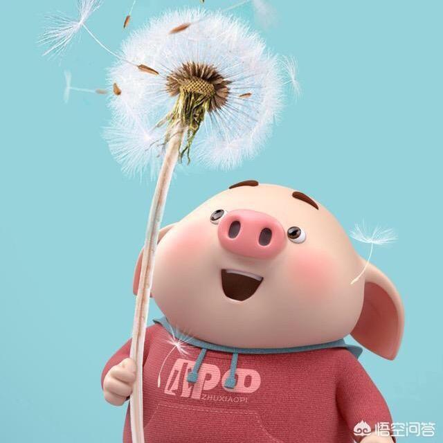 齐记烤鸭