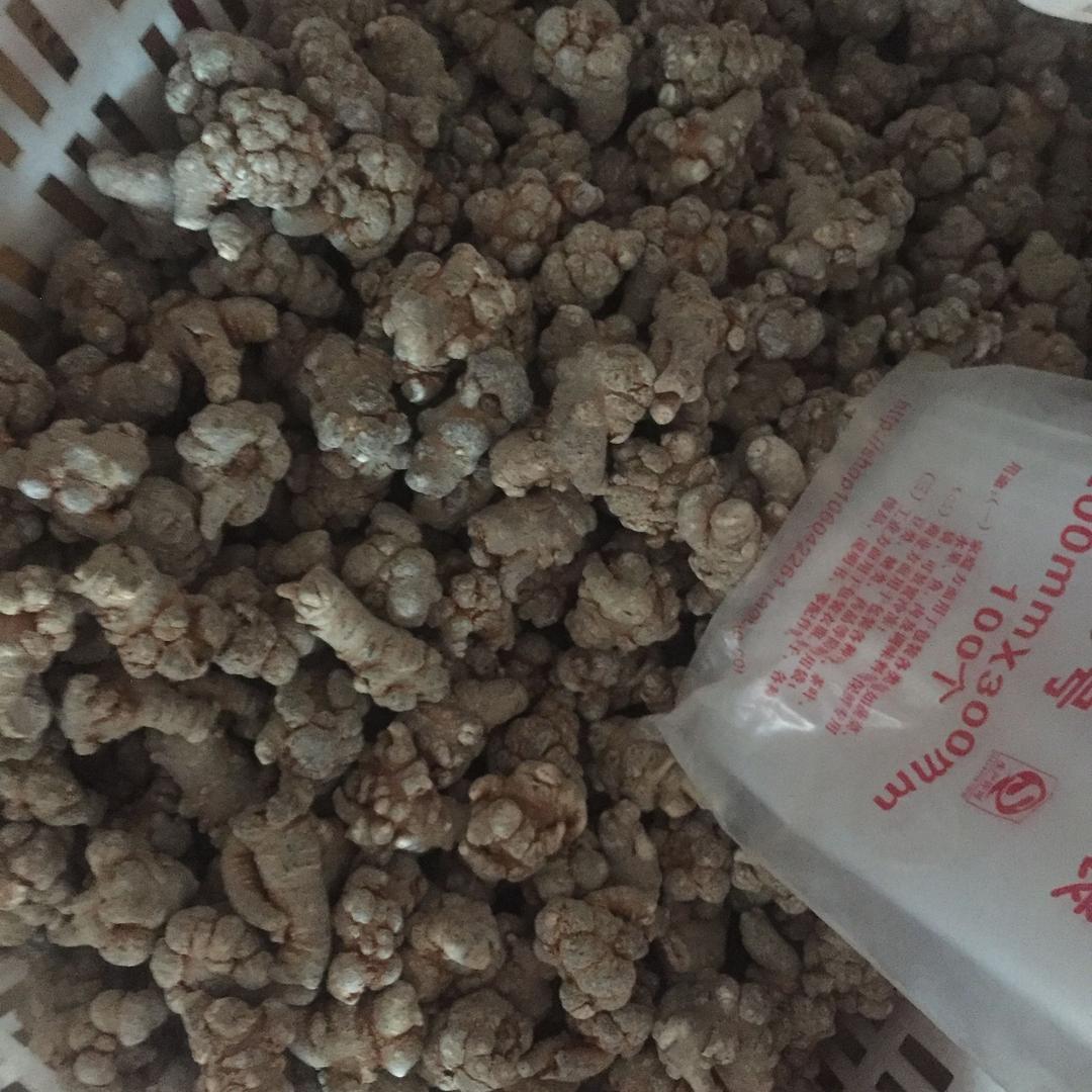 何家笑今夜q！不