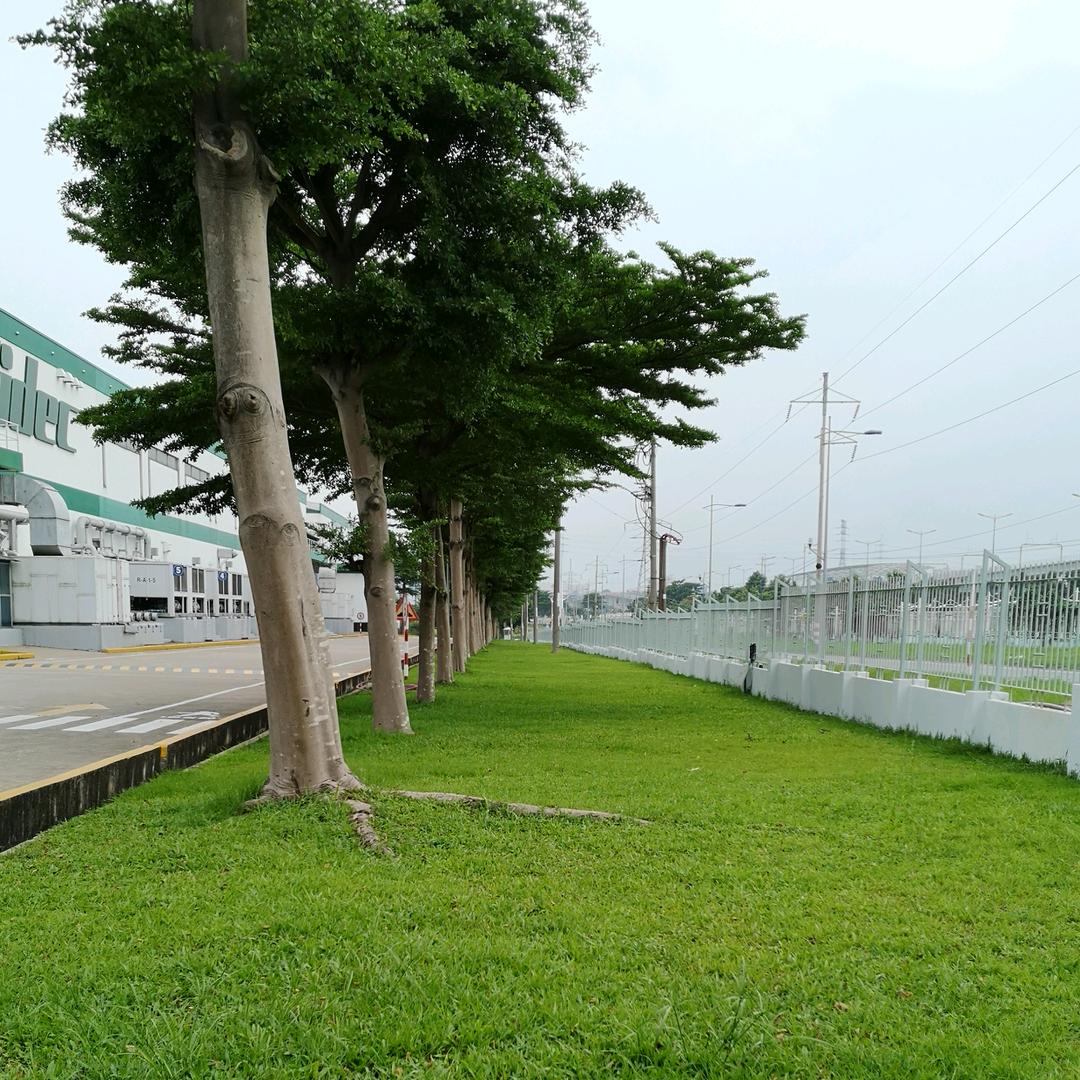 米粥