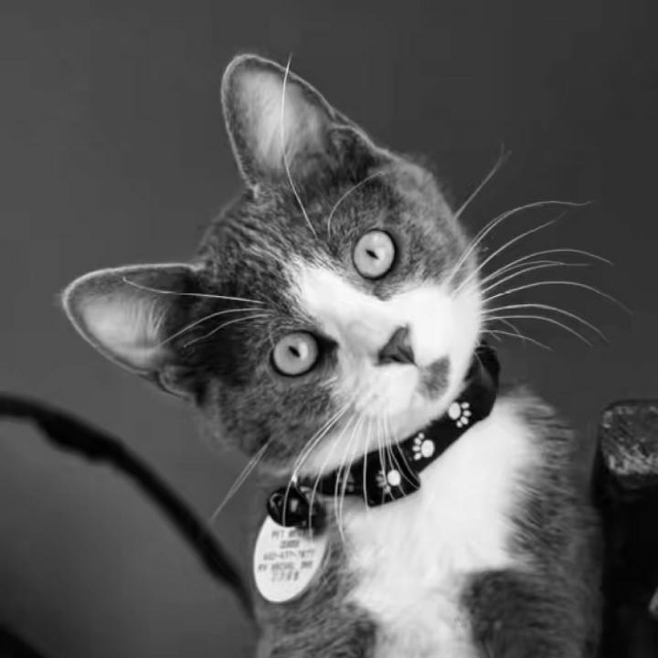 痛风患者（喜欢吃鱼😭）