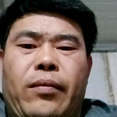 孤独的狼