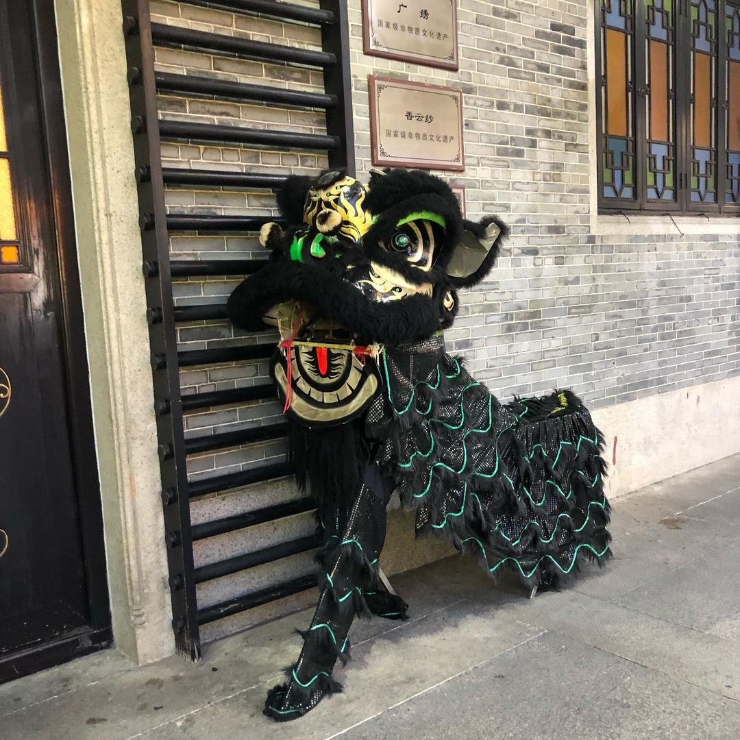 洋葱