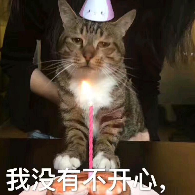 冷的很
