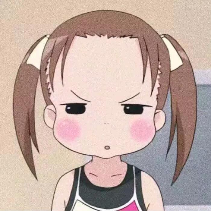 毛毛的胖虎