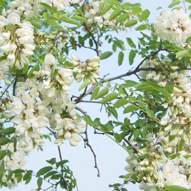 寻觅海洋的鱼🐟